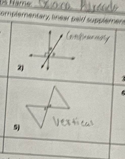 Ds Hare 
complementary linear pair supple 
2)