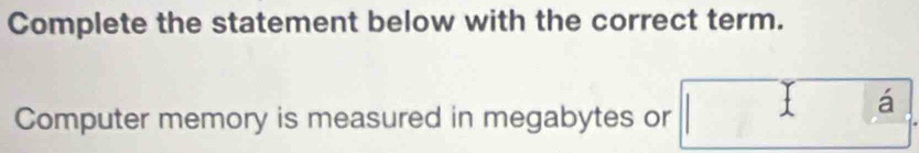 Complete the statement below with the correct term. 
á 
Computer memory is measured in megabytes or