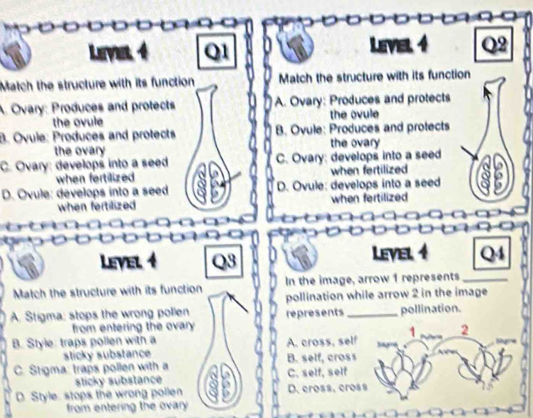 Level
6 Level 4 Q2
Match the structure with its function Match the structure with its function
A. Ovary: Produces and protects A. Ovary: Produces and protects
the ovule the ovule
B. Ovule: Produces and protects B. Ovule: Produces and protects
the ovary the ovary
C. Ovary: develops into a seed C. Ovary: develops into a seed
when fertilized when fertilized
D. Ovule: develops into a seed D. Ovule: develops into a seed
when fertilized when fertilized
Level Level

Match the structure with its function In the image, arrow 1 represents_
pollination while arrow 2 in the image
A. Stigma: stops the wrong pollen represents _pollination.
from entering the ovary
B. Style: traps pollen with a A. cross, self 1 2
sticky substance
C. Stigma: traps pollen with a B. self, cross
sticky substance C. self, self
D. Style stops the wrong pollen D.cross, cross
from entering the ovary