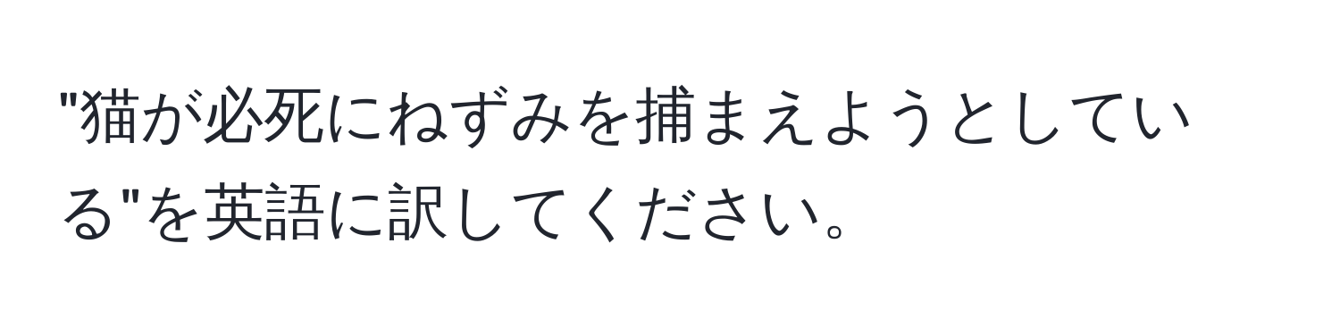 "猫が必死にねずみを捕まえようとしている"を英語に訳してください。