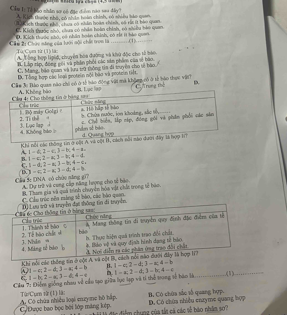 nghệm nhiều lựa chọn (4,5 điểm)
Câu 1: Tế bảo nhân sơ có đặc diểm nào sau dây?
A. Kích thước nhỏ, có nhân hoàn chinh, có nhiều bảo quan.
B.Kích thước nhỏ, chưa có nhân hoàn chỉnh, có rất ít bảo quan.
C. Kích thước nhỏ, chưa có nhân hoàn chỉnh, có nhiều bào quan.
D. Kích thước nhỏ, có nhân hoàn chỉnh, có rất ít bào quan.
Câu 2: Chức năng của lưới nội chất trơn là …..._ .(1)……_    
Từ/Cụm từ (1) là:
A. Tổng hợp lipid, chuyển hóa đường và khử độc cho tế bào.
B. Lắp ráp, đóng gói vả phân phối các sản phẩm của tế bào.
C. Mang, bảo quan và lưu trữ thông tin di truyền cho tế bào.
D. Tổng hợp các loại protein nội bảo và protein tiết.
Câu 3: Bào quan nào chỉ có ở tế bào động vật mà không có ở tế bào thực vật?
B. Lục lạp C. Trung thể
D.
Khi nối các thông tin
A. 1 -d; 2 - c; 3 - b; 4-a.
B. 1 - c; 2 - a; 3 - b;4 -d
C. 1 - d; 2 - a; 3 - b; 4 -C
D.1 - c; 2 - a; 3 - d; 4 - b.
Cầu 5: DNA có chức năng gì?
A. Dự trữ và cung cấp năng lượng cho tế bào.
B. Tham gia và quá trình chuyển hóa vật chất trong tế bào.
C. Cấu trúc nên màng tế bào, các bào quan.
ạt thông tin di truyền.
Khi nối các thông tin ở
A,1 - c; 2 - d;3-a;4-b B. 1-c;2-d;3-a;4-b
C. 1 - b; 2 -a;3-d;4-c D. 1-a;2-d;3-b;4-c
Câu 7: Điểm giống nhau về cấu tạo giữa lục lạp và ti thể trong tế bào là._
(1)_
Từ/Cụm từ (1) là:
A. Có chứa nhiều loại enzyme hô hấp. B. Có chứa sắc tố quang hợp.
C. Được bao bọc bởi lớp màng kép. D. Có chứa nhiều enzyme quang hợp
L ộ  là  đ ặc điểm chung của tất cả các tế bào nhân sơ?