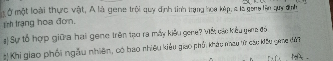 Ở một loài thực vật, A là gene trội quy định tính trạng hoa kép, a là gene lặn quy định 
tính trạng hoa đơn. 
a)Sự tổ hợp giữa hai gene trên tạo ra mấy kiểu gene? Viết các kiểu gene đó. 
b)Khi giao phối ngẫu nhiên, có bao nhiêu kiểu giao phối khác nhau từ các kiểu gene đó?