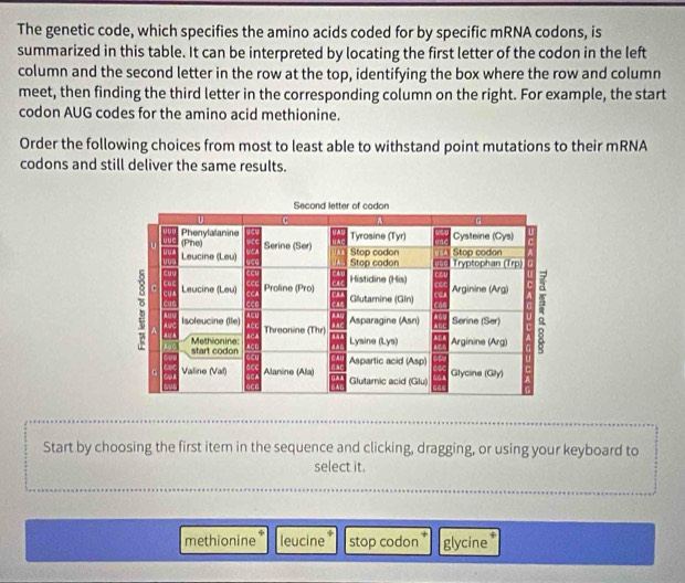 The genetic code, which specifies the amino acids coded for by specific mRNA codons, is
summarized in this table. It can be interpreted by locating the first letter of the codon in the left
column and the second letter in the row at the top, identifying the box where the row and column
meet, then finding the third letter in the corresponding column on the right. For example, the start
codon AUG codes for the amino acid methionine.
Order the following choices from most to least able to withstand point mutations to their mRNA
codons and still deliver the same results.
Start by choosing the first item in the sequence and clicking, dragging, or using your keyboard to
select it.
methionine leucine stop codon glycine