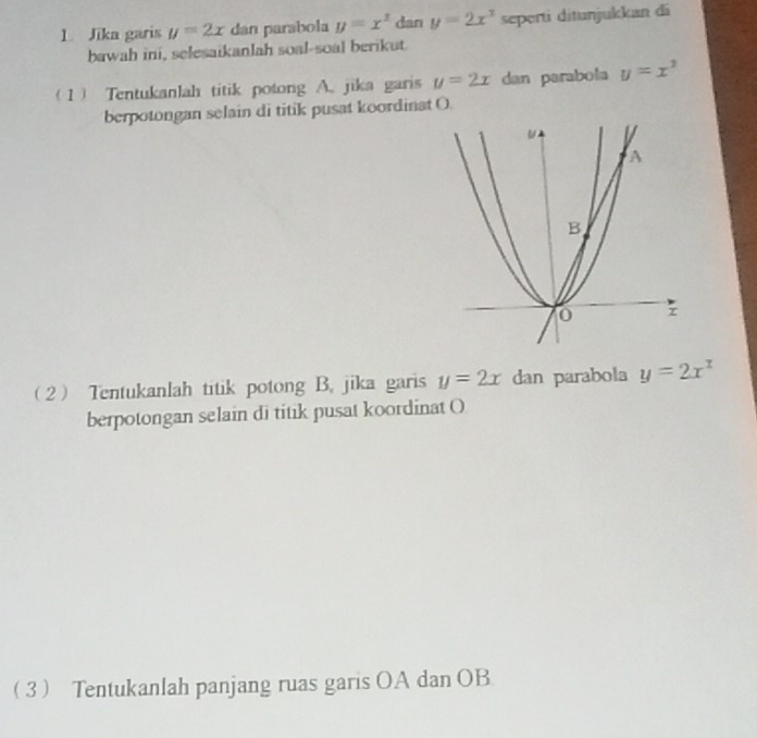 Jika garis y=2x dan parabola y=x^2 dan y=2x^3 seperti ditunjukkan đi 
bawah ini, selesaikanlah soal-soal berikut. 
1 Tentukanlah titik potong A. jika garis y=2x dan parabola y=x^3
berpotongan selain di titik pusat koordinat O. 
2 Tentukanlah titik potong B. jika garis y=2x dan parabola y=2x^x
berpotongan selain di titik pusat koordinat O
3 Tentukanlah panjang ruas garis OA dan OB