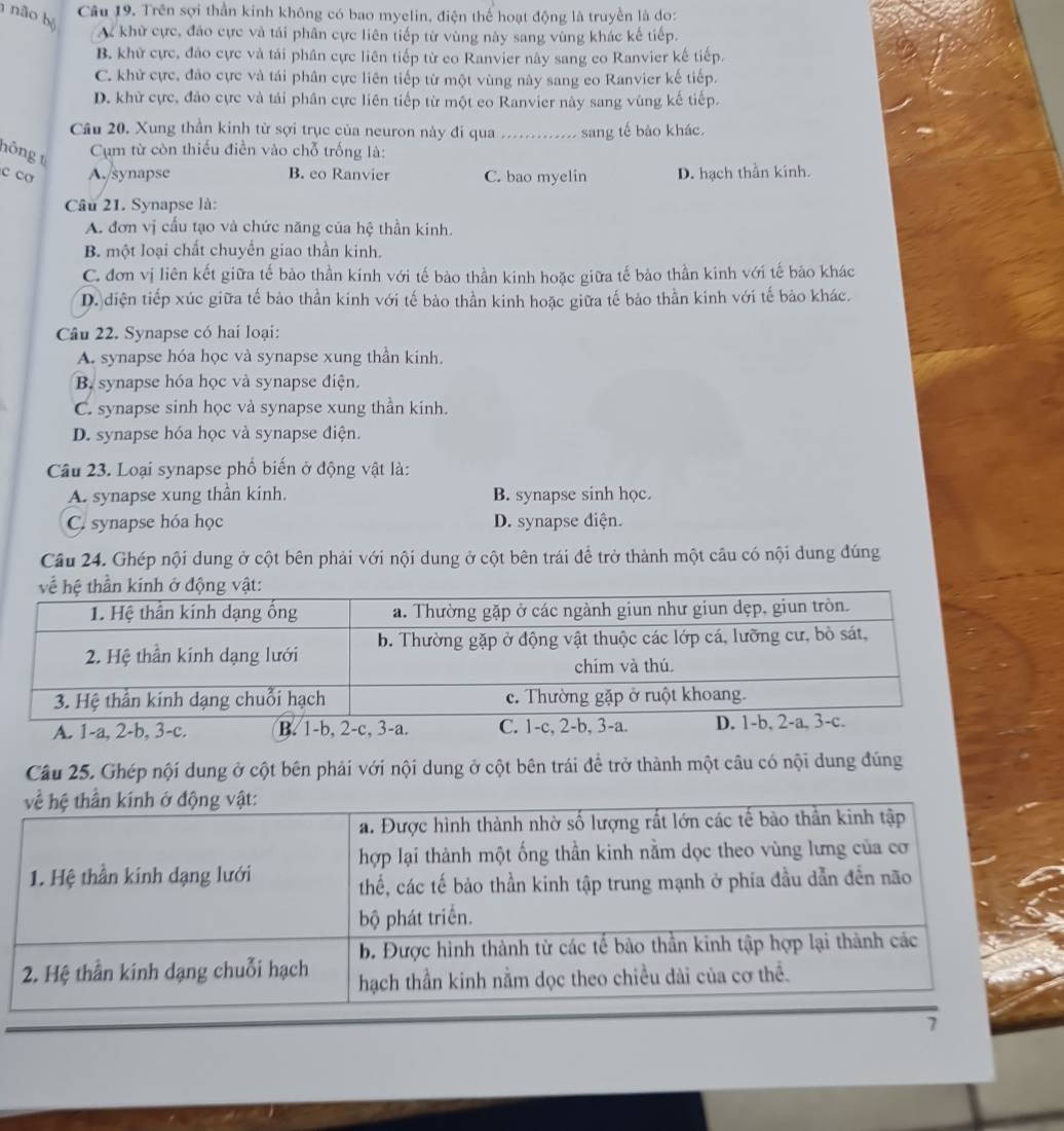 não bộ
Câu 19. Trên sợi thần kinh không có bao myelin, điện thể hoạt động là truyền là do:
A khử cực, đảo cực và tái phân cực liên tiếp từ vùng này sang vùng khác kế tiếp.
B. khử cực, đảo cực và tái phân cực liên tiếp từ eo Ranvier này sang co Ranvier kế tiếp.
C. khử cực, đảo cực và tái phân cực liên tiếp từ một vùng này sang eo Ranvier kế tiếp.
D. khử cực, đảo cực và tái phân cực liên tiếp từ một eo Ranvier này sang vùng kế tiếp.
Câu 20. Xung thần kinh từ sợi trục của neuron này đi qua _sang tế bảo khác.
hông t
Cụm từ còn thiếu điền vào chỗ trống là:
c ca A./synapse B. eo Ranvier C. bao myelin D. hạch thần kinh.
Câu 21. Synapse là:
A. đơn vị cấu tạo và chức năng của hệ thần kinh.
B. một loại chất chuyển giao thần kinh.
C. đơn vị liên kết giữa tế bào thần kinh với tế bào thần kinh hoặc giữa tế bào thần kinh với tế bảo khác
D. diện tiếp xúc giữa tế bảo thần kinh với tế bảo thần kinh hoặc giữa tế bảo thần kinh với tế bảo khác.
Câu 22. Synapse có hai loại:
A. synapse hóa học và synapse xung thần kinh.
B synapse hóa học và synapse điện.
C. synapse sinh học và synapse xung thần kinh.
D. synapse hóa học và synapse điện.
Câu 23. Loại synapse phổ biến ở động vật là:
A. synapse xung thần kinh. B. synapse sinh học.
C. synapse hóa học D. synapse điện.
Câu 24. Ghép nội dung ở cột bên phải với nội dung ở cột bên trái để trở thành một câu có nội dung đúng
Câu 25. Ghép nội dung ở cột bên phải với nội dung ở cột bên trái để trở thành một câu có nội dung đũng