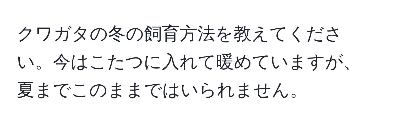 クワガタの冬の飼育方法を教えてください。今はこたつに入れて暖めていますが、夏までこのままではいられません。