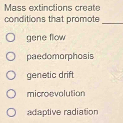 Mass extinctions create
conditions that promote_
gene flow
paedomorphosis
genetic drift
microevolution
adaptive radiation