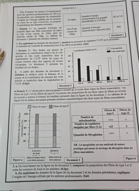 Afin d'adapter les séances d'entrainement EXERCICE 2
pour des sprinters professionnels de 100 m et
de permettre aux entraîneurs de comprendre
l'origine de l'énergie utillisée par les muscles Quantité d'énergie
au cours de ce type d'exercice, on propose Au repos 5.1 à 7.5
l'exploitation des données suivantes. intracellulaire d'ATP (Kj) correspondante à la quantité
* Domnée 1 : La quantisé d'énergie est
mesurée dans une fibre musculaire au repos course de lors d'une Quantité d'énergle 132
individu adulte de 70kg. Le tableau du 100m intrace|lulaire dépensée (Kj)
et lors d'une course de 100m chez un
Document 1
document 1 présente les résultats obenus.
1. En expleitant les données du document 1, mentrez la nécessité de régénérer l'ATP pour permettre
le maintion de l'activité de contraction lors daire. (1p4)
'  Donmée 2 : Des études ont permis 
déterminer la contribution relative de la vo
régénération de l'ATP aérobie et des voies anaérobies dans 
course menées chez des nageurs de nivea selon les types 
olympique. Le document 2 présente l
résultats de ces études. 
2. A partir des données du document 
déduisez la relation entre la distance de 
course et la contribution de chœœune des voi
aérobie et ansérobie dans la régénération 
ATP. (0,5pt Document 2
Donnée 3 : L'observation microscopique a montré qu'il existe deux types de fibres musculaires : les
fibres de type l et les fibres de type II. La mesure des proportions de ces deux types de fibres au niveau
du muscle a permis d'obtenir les résultats présentés dans la figure (a) du document 3. Le tableau de la
figure (b) du même document présente certaines caractéristiques des deux types de fibres musculaires.
 
NB : La myoglobine est une molécule de nature
protéique qui assure le stockage du dioxygène dans les
fibres musculaires.
cument 3 Figure b
3. a. En vous basant sur la figure (a) du document 3, comparez les proportions des fibres de type 1 et II
entre les courcurs de fond et les sprinters. (0.5pt)
b. En exploitant les données de la figure (b) du document 3 et les données précédentes, expliquez
l'origine de l'énergie utilisée par les sprinters professionnels. (1pt)