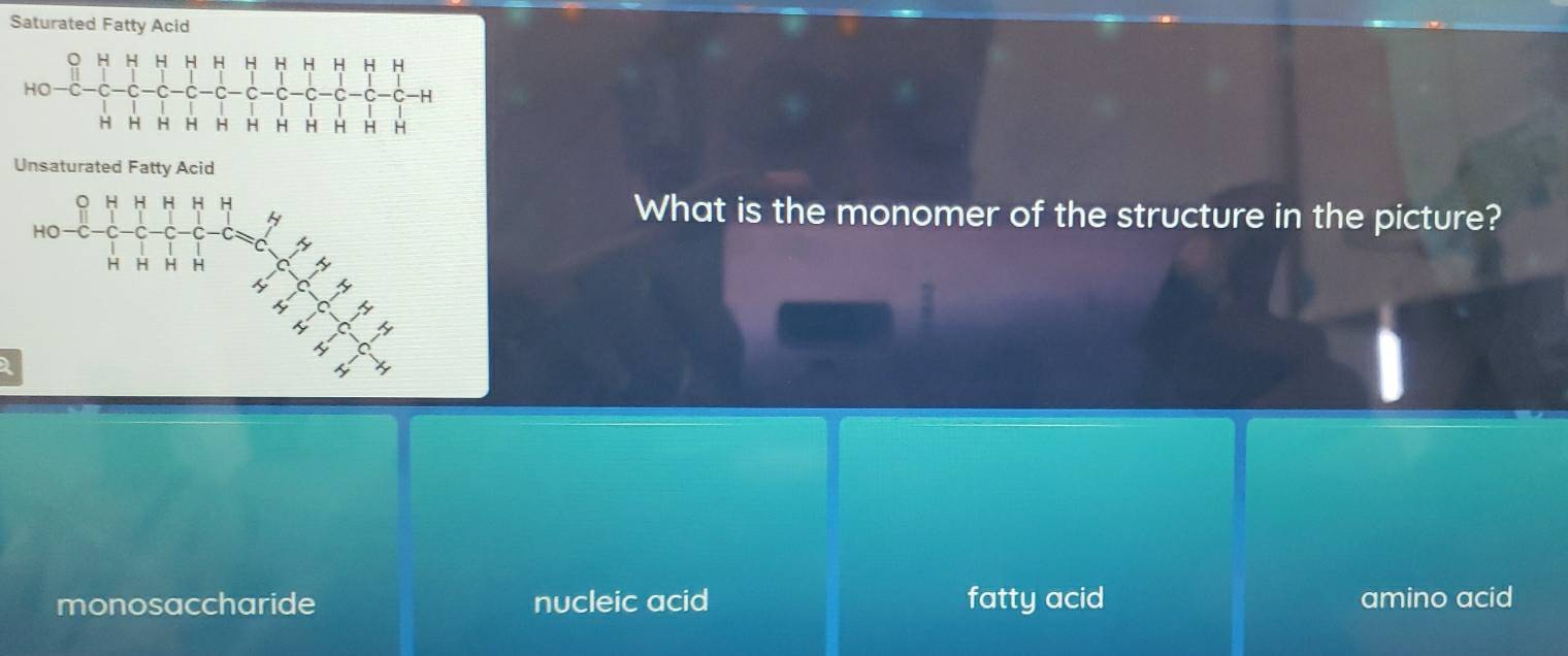 Saturated Fatty Acid
Unsaturated Fatty Acid
What is the monomer of the structure in the picture?
monosaccharide nucleic acid fatty acid amino acid