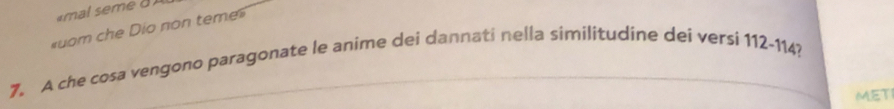 mal seme a 
«uom che Dio non teme» 
7. A che cosa vengono paragonate le anime dei dannati nella similitudine dei versi 112-114? 
MET