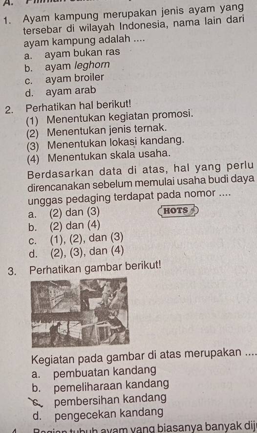 Ayam kampung merupakan jenis ayam yang
tersebar di wilayah Indonesia, nama lain dari
ayam kampung adalah ....
a. ayam bukan ras
b. ayam leghorn
c. ayam broiler
d. ayam arab
2. Perhatikan hal berikut!
(1) Menentukan kegiatan promosi.
(2) Menentukan jenis ternak.
(3) Menentukan lokasi kandang.
(4) Menentukan skala usaha.
Berdasarkan data di atas, hal yang perlu
direncanakan sebelum memulai usaha budi daya
unggas pedaging terdapat pada nomor ....
a. (2) dan (3) HoTS
b. (2) dan (4)
c. (1), (2), dan (3)
d. (2), (3), dan (4)
3. Perhatikan gambar berikut!
Kegiatan pada gambar di atas merupakan ....
a. pembuatan kandang
b. pemeliharaan kandang
pembersihan kandang
d. pengecekan kandang
tubuh ayam vang biasanya banyak dij