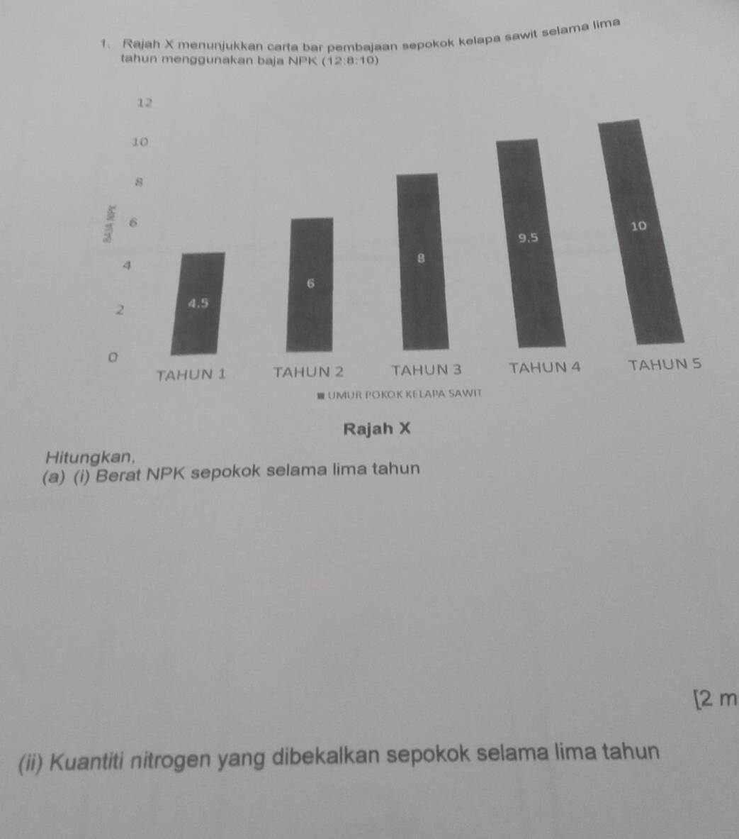 Rajah X menunjukkan carta bar pembajaan sepokok kelapa sawit selama lima 
tahun menggunakan baja NPK (12:8:10)
Hitungkan, 
(a) (i) Berat NPK sepokok selama lima tahun 
[2 m 
(ii) Kuantiti nitrogen yang dibekalkan sepokok selama lima tahun