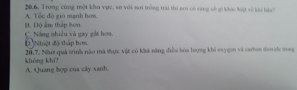 Trong cùng một khu vực, so với nơi trống trải thì nơi có rừng có gì khác biệt về khí hậu
A. Tốc độ gió mạnh hơn.
B. Độ ẩm thấp hơn.
C. Nắng nhiều và gay gắt hơn.
0. Nhiệt độ thấp hơn.
20.7. Nhờ quá trình nào mà thực vật có khả năng điều hòa lượng khí oxygen và carbon dioxide trong
không khí?
A. Quang hợp của cây xanh.