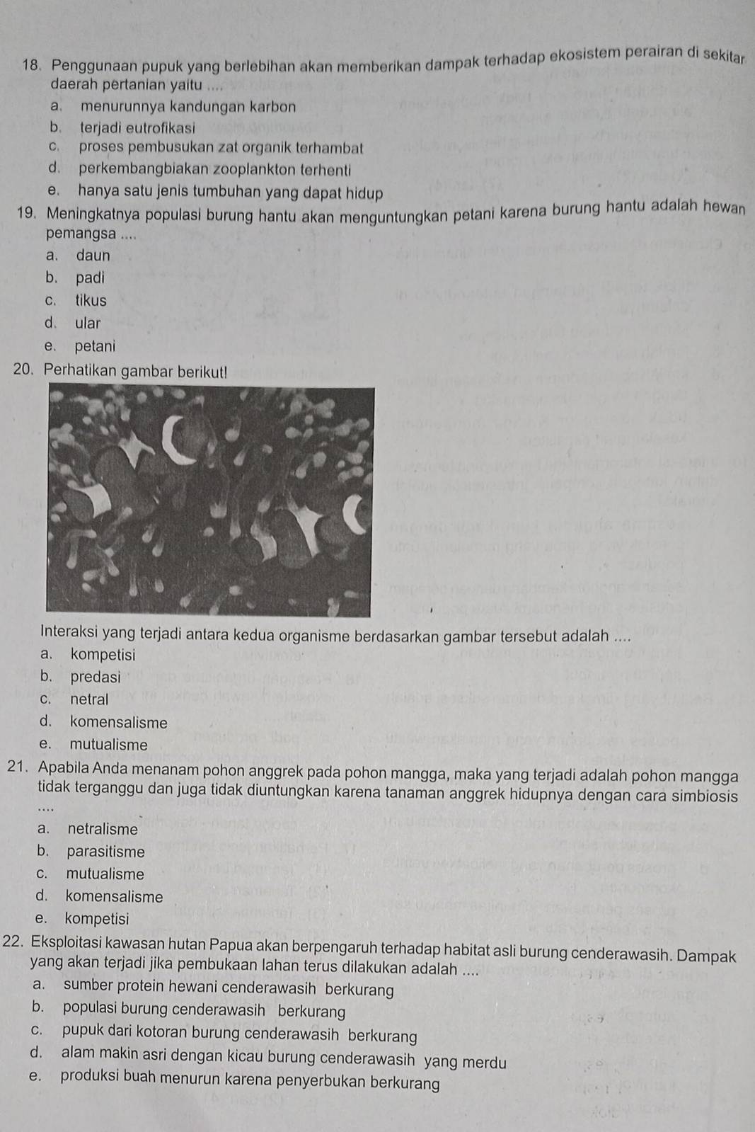 Penggunaan pupuk yang berlebihan akan memberikan dampak terhadap ekosistem perairan di sekitar
daerah pertanian yaitu ...
a. menurunnya kandungan karbon
b. terjadi eutrofikasi
c. proses pembusukan zat organik terhambat
d. perkembangbiakan zooplankton terhenti
e. hanya satu jenis tumbuhan yang dapat hidup
19. Meningkatnya populasi burung hantu akan menguntungkan petani karena burung hantu adalah hewan
pemangsa ....
a. daun
b. padi
c. tikus
d ular
e. petani
20. Perhatikan gambar berikut!
Interaksi yang terjadi antara kedua organisme berdasarkan gambar tersebut adalah ....
a. kompetisi
b. predasi
c. netral
d. komensalisme
e. mutualisme
21. Apabila Anda menanam pohon anggrek pada pohon mangga, maka yang terjadi adalah pohon mangga
tidak terganggu dan juga tidak diuntungkan karena tanaman anggrek hidupnya dengan cara simbiosis
a. netralisme
b. parasitisme
c. mutualisme
d. komensalisme
e. kompetisi
22. Eksploitasi kawasan hutan Papua akan berpengaruh terhadap habitat asli burung cenderawasih. Dampak
yang akan terjadi jika pembukaan lahan terus dilakukan adalah ....
a. sumber protein hewani cenderawasih berkurang
b. populasi burung cenderawasih berkurang
c. pupuk dari kotoran burung cenderawasih berkurang
d. alam makin asri dengan kicau burung cenderawasih yang merdu
e. produksi buah menurun karena penyerbukan berkurang