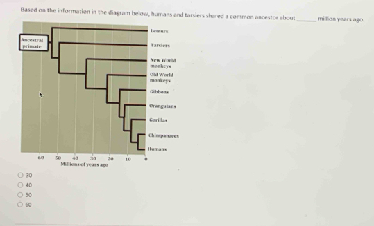 Based on the information in the diagram below, humans and tarsiers shared a common ancestor about _ million years ago.
30
40
50
60