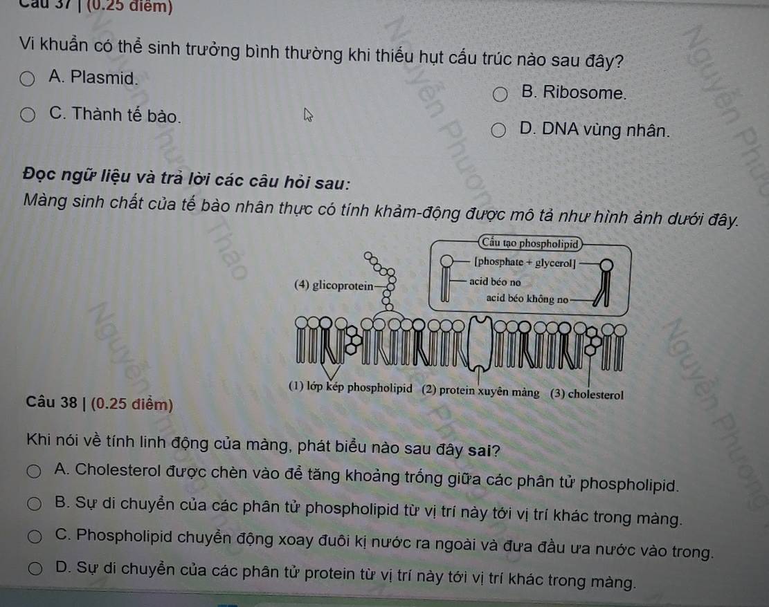 Cầu 37 | (0.25 điểm)
Vi khuẩn có thể sinh trưởng bình thường khi thiếu hụt cấu trúc nào sau đây?
A. Plasmid. B. Ribosome.
C. Thành tế bào. D. DNA vùng nhân.
Đọc ngữ liệu và trả lời các câu hỏi sau:
Màng sinh chất của tế bào nhân thực có tính khảm-động được mô tả như hình ảnh dưới đây.
Câu 38 | (0.25 điểm)
Khi nói về tính linh động của màng, phát biểu nào sau đây sai?
A. Cholesterol được chèn vào để tăng khoảng trống giữa các phân tử phospholipid.
B. Sự di chuyển của các phân tử phospholipid từ vị trí này tới vị trí khác trong màng.
C. Phospholipid chuyền động xoay đuôi kị nước ra ngoài và đưa đầu ưa nước vào trong.
D. Sự di chuyển của các phân tử protein từ vị trí này tới vị trí khác trong màng.