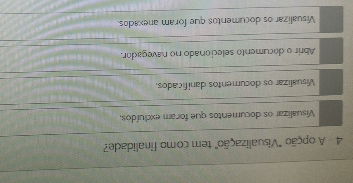 A opção "Visualização" tem como finalidade?
Visualizar os documentos que foram excluídos.
Visualizar os documentos danificados.
Abrir o documento selecionado no navegador.
Visualizar os documentos que foram anexados.