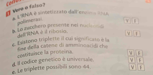 Conus
Vero o falso?
a. L'RNA è sintetizzato dall'enzima RNA
polimerasi.
F
b. Lo zucchero presente nei nucleotidi
dell'RNA è il ribosio.
V F
c. Esistono triplette il cui significato è la
fine della catene di amminoacidi che
costituisce la proteina. V F
d. Il codice genetico è universale. V F
e. Le triplette possibili sono 44. V F