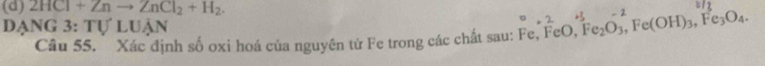 2 HCl+Znto ZnCl_2+H_2. 
đạng 3: tự luận 
Câu 55. Xác định số oxi hoá của nguyên tử Fe trong các chất sau: Fe, FeO, Fe_2O_3, Fe(OH)_3, Fe_3O_4.