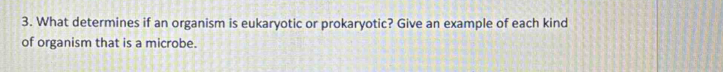 What determines if an organism is eukaryotic or prokaryotic? Give an example of each kind 
of organism that is a microbe.