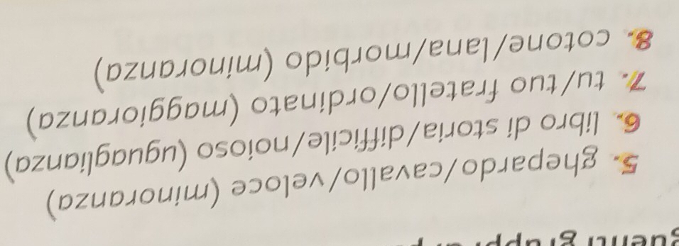 ghepardo/cavallo/veloce (minoranza) 
6 libro di storia/difficile/noioso (uguaglianza) 
7 tu/tuo fratello/ordinato (maggioranza) 
& cotone/lana/morbido (minoranza)