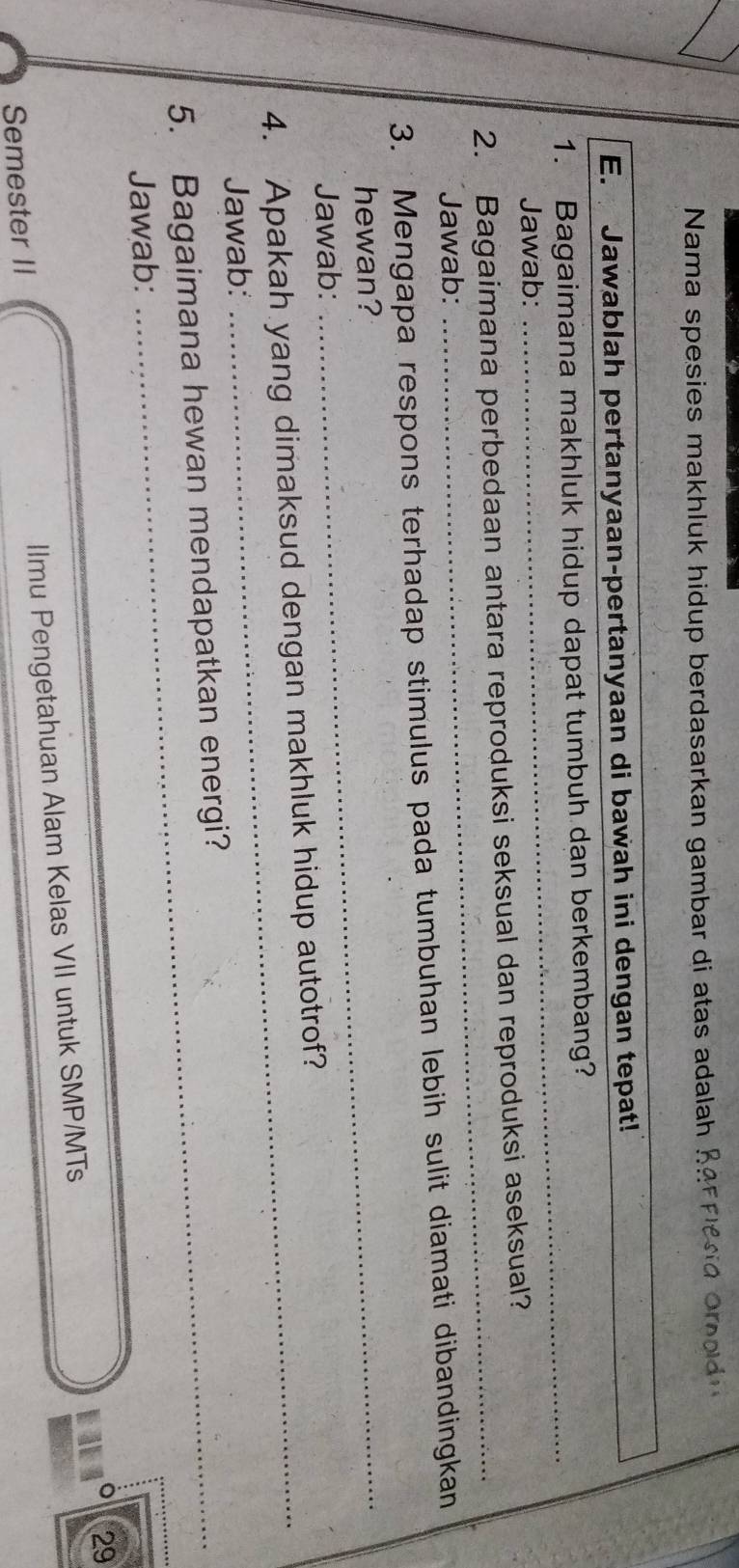 Nama spesies makhluk hidup berdasarkan gambar di atas adalah Rarplesa ord 
E. Jawablah pertanyaan-pertanyaan di bawah ini dengan tepat! 
_ 
1. Bagaimana makhluk hidup dapat tumbuh dan berkembang? 
Jawab: 
2. Bagaimana perbedaan antara reproduksi seksual dan reproduksi aseksual? 
Jawab: 
_ 
3. Mengapa respons terhadap stimulus pada tumbuhan lebih sulit diamati dibandingkan 
hewan?_ 
Jawab: 
4. Apakah yang dimaksud dengan makhluk hidup autotrof? 
Jawab: 
5. Bagaimana hewan mendapatkan energi? 
Jawab: 
29 
Semester II llmu Pengetahuan Alam Kelas VII untuk SMP/MTs