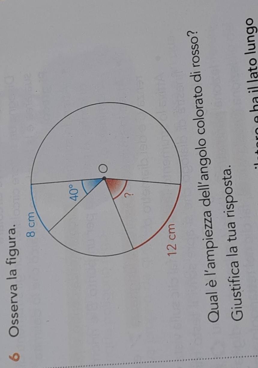 Osserva la figura.
Qual è l'ampiezza dell'angolo colorato di rosso?
Giustifica la tua risposta.
é º ha il lato lungo