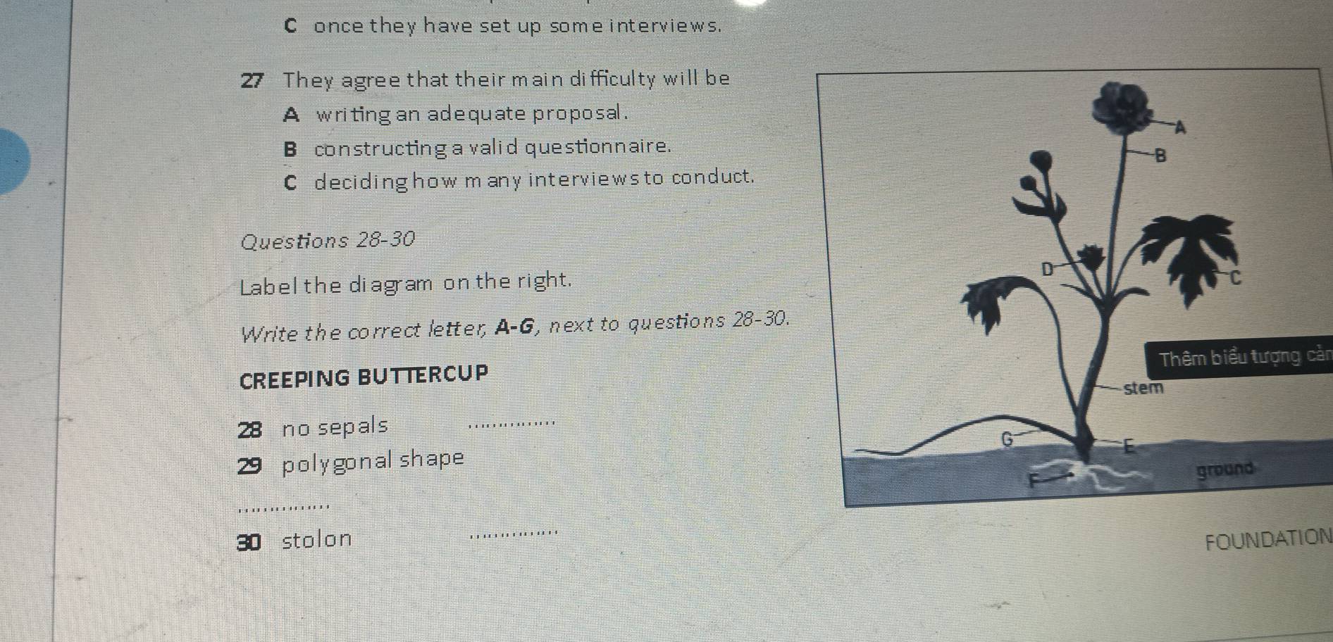 once they have set up some interviews.
27 They agree that their main difficulty will be
A writing an adequate proposal.
B constructing a valid questionnaire.
C deciding how m any interviews to conduct.
Questions 28-30
Label the diagram on the right.
Write the correct letter, A-G, next to questions 28-30.
CREEPING BUTTERCUPThêm biểu tượng cản
28 no sepals ….......
29 polygonal shape 
........
30 stolon FOUNDATION