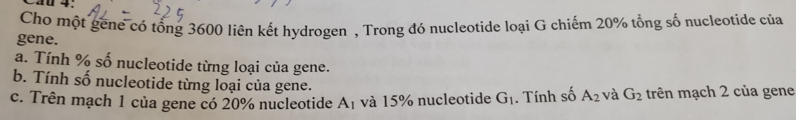 Cho một gene có tổng 3600 liên kết hydrogen , Trong đó nucleotide loại G chiếm 20% tổng số nucleotide của 
gene. 
a. Tính % số nucleotide từng loại của gene. 
b. Tính số nucleotide từng loại của gene. 
c. Trên mạch 1 của gene có 20% nucleotide A_1 và 15% nucleotide G_1. Tính số A_2 và G_2 trên mạch 2 của gene