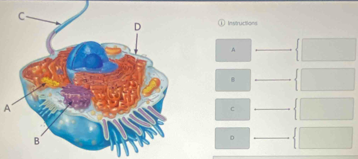 Instructions 
A 
B 
A 
C 
D