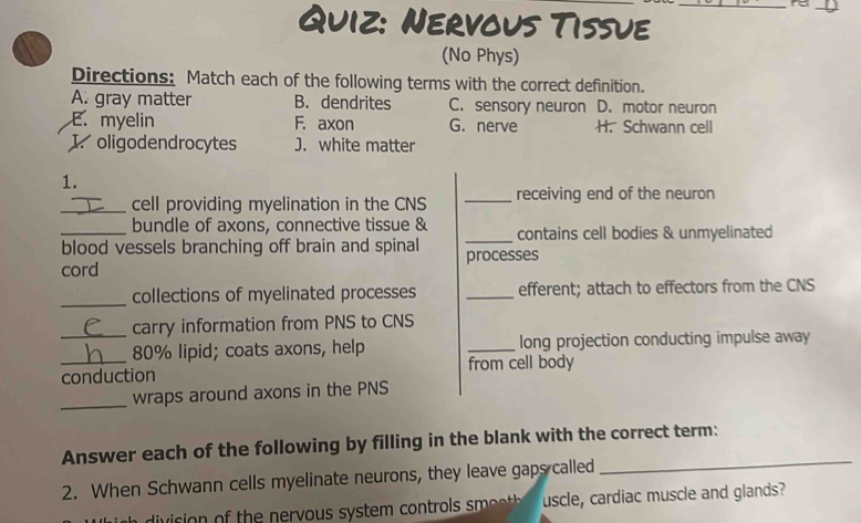 Nervous Tissue
(No Phys)
Directions: Match each of the following terms with the correct definition.
A. gray matter B. dendrites C. sensory neuron D. motor neuron
E. myelin F. axon G. nerve H. Schwann cell
I. oligodendrocytes J. white matter
1.
_cell providing myelination in the CNS _receiving end of the neuron
bundle of axons, connective tissue &
_blood vessels branching off brain and spinal _contains cell bodies & unmyelinated
cord processes
_
collections of myelinated processes _efferent; attach to effectors from the CNS
carry information from PNS to CNS
_ 80% lipid; coats axons, help _long projection conducting impulse away
_conduction from cell body
_
wraps around axons in the PNS
Answer each of the following by filling in the blank with the correct term:
2. When Schwann cells myelinate neurons, they leave gaps called
_
ivicion of the nervous system control eetth uscle, cardiac muscle and glands?