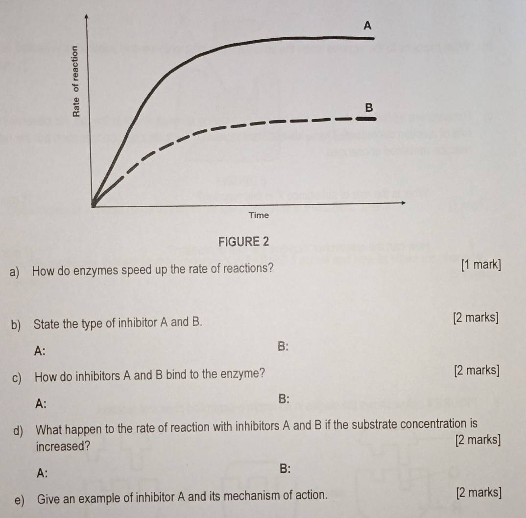 A
B
Time
FIGURE 2
a) How do enzymes speed up the rate of reactions? [1 mark]
b) State the type of inhibitor A and B.
[2 marks]
A:
B:
c) How do inhibitors A and B bind to the enzyme? [2 marks]
A:
B:
d) What happen to the rate of reaction with inhibitors A and B if the substrate concentration is
increased?
[2 marks]
A:
B:
e) Give an example of inhibitor A and its mechanism of action. [2 marks]