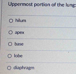 Uppermost portion of the lung:
hilum
apex
base
lobe
diaphragm