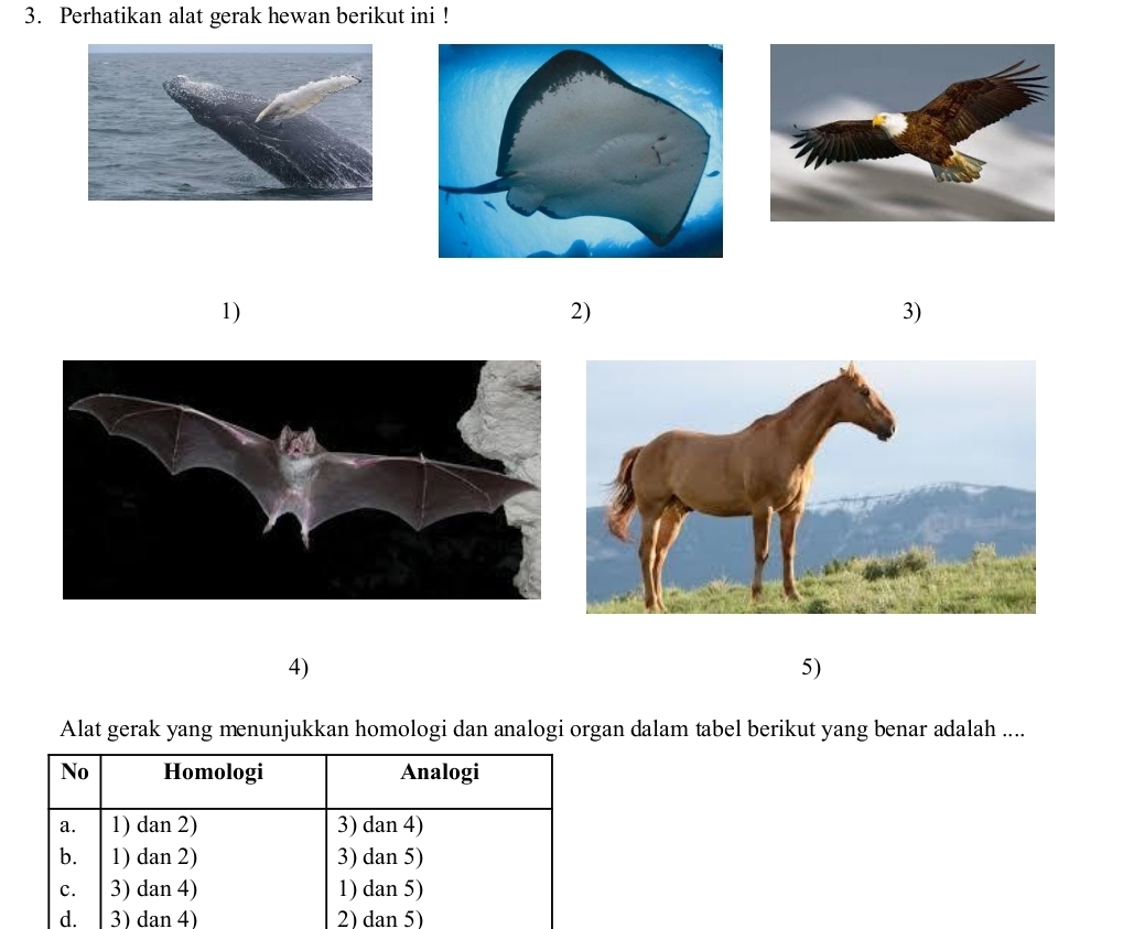 Perhatikan alat gerak hewan berikut ini ! 
1) 
2) 
3) 
4) 
5) 
Alat gerak yang menunjukkan homologi dan analogi organ dalam tabel berikut yang benar adalah ....