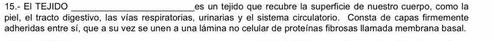 15.- EI TEJIDO _es un tejido que recubre la superficie de nuestro cuerpo, como la 
piel, el tracto digestivo, las vías respiratorias, urinarias y el sistema circulatorio. Consta de capas firmemente 
adheridas entre sí, que a su vez se unen a una lámina no celular de proteínas fibrosas llamada membrana basal.