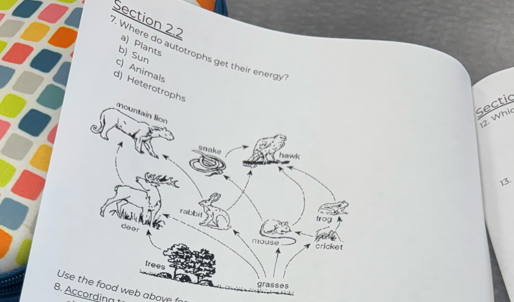 Plants
7. Where do autotrophs get their energy
b) Sun
c) Animals
d) Heterotr
Sectic
12. Whi
13.
Use the food web above f
8. According