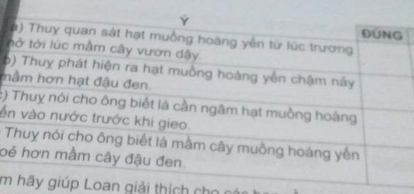 5
m
:)
ế

o 
m Loan giải thích cho có