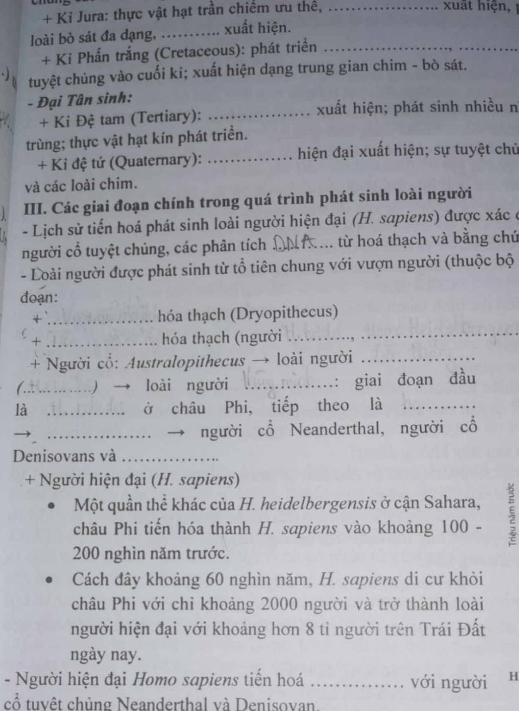 + Ki Jura: thực vật hạt trần chiếm ưu thế,_
xuất hiện, 
loài bò sát đa dạng,_
xuất hiện.
+ Ki Phấn trắng (Cretaceous): phát triển_
. tuyệt chủng vào cuối ki; xuất hiện dạng trung gian chim - bò sát.
- Đại Tân sinh:
_xuất hiện; phát sinh nhiều n
+ Kỉ Đệ tam (Tertiary):
trùng; thực vật hạt kín phát triển.
+ Kỉ đệ tứ (Quaternary):_
hiện đại xuất hiện; sự tuyệt chủ
và các loài chim.
III. Các giai đoạn chính trong quá trình phát sinh loài người
- Lịch sử tiến hoá phát sinh loài người hiện đại (H. sapiens) được xác ở
người cổ tuyệt chủng, các phân tích AnA từ hoá thạch và bằng chứ
- Loài người được phát sinh từ tổ tiên chung với vượn người (thuộc bộ
đoạn:
_4
_
hóa thạch (Dryopithecus)
 + _hóa thạch (người
+ Người cổ: Australopithecus → loài người_
(.t  - loài người
: giai đoạn đầu
là _ở châu Phi, tiếp theo là_
_người cổ Neanderthal, người cổ
Denisovans và_
+ Người hiện đại (H. sapiens)
Một quần thể khác của H. heidelbergensis ở cận Sahara,
châu Phi tiến hóa thành H. sapiens vào khoảng 100 -

200 nghìn năm trước.
Cách đây khoảng 60 nghìn năm, H. sapiens di cư khỏi
châu Phi với chỉ khoảng 2000 người và trở thành loài
người hiện đại với khoảng hơn 8 tỉ người trên Trái Đất
ngày nay.
- Người hiện đại Homo sapiens tiển hoá   _với người H
cổ tuvêt chủng Neanderthal và Denisovan