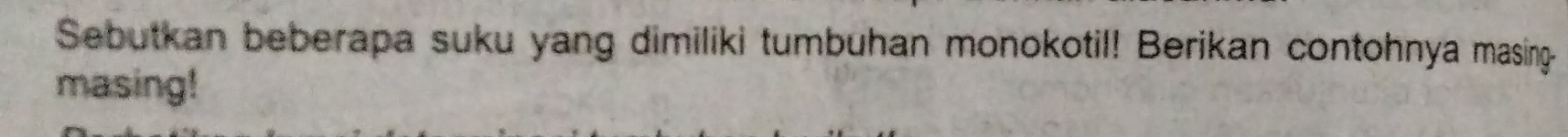 Sebutkan beberapa suku yang dimiliki tumbuhan monokotil! Berikan contohnya masing- 
masing!