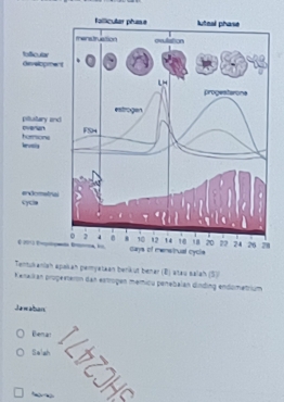 Tentukaniah apakan pamyataan berikut benar (B) atau salah (5))
Kenalkan propestersm dan estrogen memicu penebalan dinding endometrium
Jewalban
Benal
Se]sh