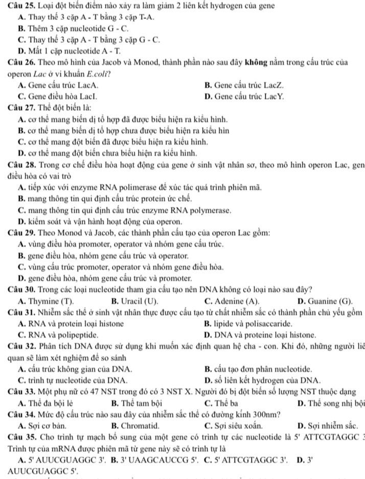 Loại đột biến điểm nào xảy ra làm giảm 2 liên kết hydrogen của gene
A. Thay thế 3 cặp A - T bằng 3 cặp T-A.
B. Thêm 3 cặp nucleotide G - C.
C. Thay thể 3 cặp A - T bằng 3 cặp G - C.
D. Mất 1 cặp nucleotide A - T.
Câu 26. Theo mô hình của Jacob và Monod, thành phần nào sau đây không nằm trong cầu trúc của
operon Lac ở vi khuẩn E.coli?
A. Gene cấu trúc LacA. B. Gene cấu trúc LacZ.
C. Gene điều hòa LacI. D. Gene cấu trúc LacY.
Câu 27. Thể đột biển là:
A. cơ thể mang biển dị tổ hợp đã được biểu hiện ra kiều hình.
B. cơ thể mang biến dị tổ hợp chưa được biểu hiện ra kiều hìn
C. cơ thể mang đột biển đã được biểu hiện ra kiều hình.
D. cơ thể mang đột biển chưa biểu hiện ra kiểu hình.
Câu 28. Trong cơ chế điều hòa hoạt động của gene ở sinh vật nhân sơ, theo mô hình operon Lac, gen
điều hòa có vai trò
A. tiếp xúc với enzyme RNA polimerase để xúc tác quá trình phiên mã.
B. mang thông tin qui định cấu trúc protein ức chế.
C. mang thông tin qui định cấu trúc enzyme RNA polymerase.
D. kiểm soát và vận hành hoạt động của operon.
Câu 29. Theo Monod và Jacob, các thành phần cấu tạo của operon Lac gồm:
A. vùng điều hòa promoter, operator và nhóm gene cấu trúc.
B. gene điều hòa, nhóm gene cấu trúc và operator.
C. vùng cấu trúc promoter, operator và nhóm gene điều hòa.
D. gene điều hòa, nhóm gene cấu trúc và promoter.
Câu 30. Trong các loại nucleotide tham gia cấu tạo nên DNA không có loại nào sau đây?
A. Thymine (T). B. Uracil (U). C. Adenine (A). D. Guanine (G).
Câu 31. Nhiễm sắc thể ở sinh vật nhân thực được cấu tạo từ chất nhiễm sắc có thành phần chủ yếu gồm
A. RNA và protein loại histone B. lipide và polisaccaride.
C. RNA và polipeptide. D. DNA và proteine loại histone.
Câu 32. Phân tích DNA được sử dụng khi muốn xác định quan hệ cha - con. Khi đó, những người liê
quan sẽ làm xét nghiệm đề so sánh
A. cầu trúc không gian của DNA B. cầu tạo đơn phân nucleotide.
C. trình tự nucleotide của DNA. D. số liên kết hydrogen của DNA.
Câu 33. Một phụ nữ có 47 NST trong đó có 3 NST X. Người đó bị đột biến số lượng NST thuộc dạng
A. Thể đa bội lẻ B. Thể tam bội C. Thể ba D. Thể song nhị bội
Câu 34. Mức độ cấu trúc nào sau đây của nhiễm sắc thể có đường kính 300nm?
A. Sợi cơ bản. B. Chromatid. C. Sợi siêu xoắn. D. Sợi nhiễm sắc.
Câu 35. Cho trình tự mạch bổ sung của một gene có trình tự các nucleotide là 5' ATTCGTAGGC 3
Trình tự của mRNA được phiên mã từ gene này sẽ có trình tự là
A. 5' AUUCGUAGGC 3'. B. 3' UAAGCAUCCG 5'. C. 5' ATTCGTAGGC 3'. D. 3'
AUUCGUAGGC 5'.