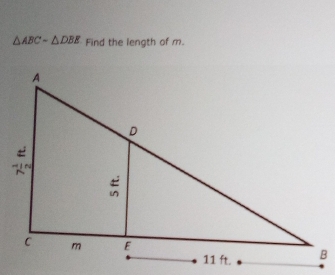 △ ABCsim △ DBE Find the length of m.