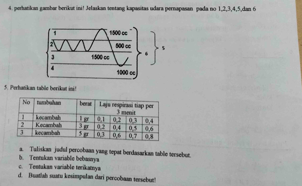 perhatikan gambar berikut ini! Jelaskan tentang kapasitas udara pernapasan pada no 1, 2, 3, 4, 5,dan 6
5. Perhatikan table berikut ini! 
a. Tuliskan judul percobaan yang tepat berdasarkan table tersebut. 
b. Tentukan variable bebasnya 
c. Tentukan variable terikatnya 
d. Buatlah suatu kesimpulan dari percobaan tersebut!