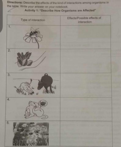 Directions: Describe the effects of the kind of interactions among organisms in 
the table. Write your answer on your notebook. 
5