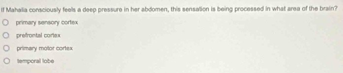 If Mahalia consciously feels a deep pressure in her abdomen, this sensation is being processed in what area of the brain?
primary sensory cortex
prefrontal cortex
primary motor cortex
temporal lobe