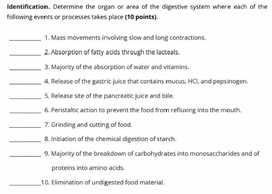 Identification. Determine the organ or area of the digestive system where each of the 
following events or processes takes place (10 points). 
_1. Mass movements involving slow and long contractions. 
_2. Absorption of fatty acids through the lacteals. 
_3. Majority of the absorption of water and vitamins. 
_4. Release of the gastric juice that contains mucus, HCl, and pepsinogen. 
_5. Release site of the pancreatic juice and bile. 
_6. Peristaltic action to prevent the food from refluxing into the mouth. 
_7. Grinding and cutting of food. 
_8. Initiation of the chemical digestion of starch. 
_'9. Majority of the breakdown of carbohydrates into monosaccharides and of 
proteins into amino acids. 
_10. Elimination of undigested food material.