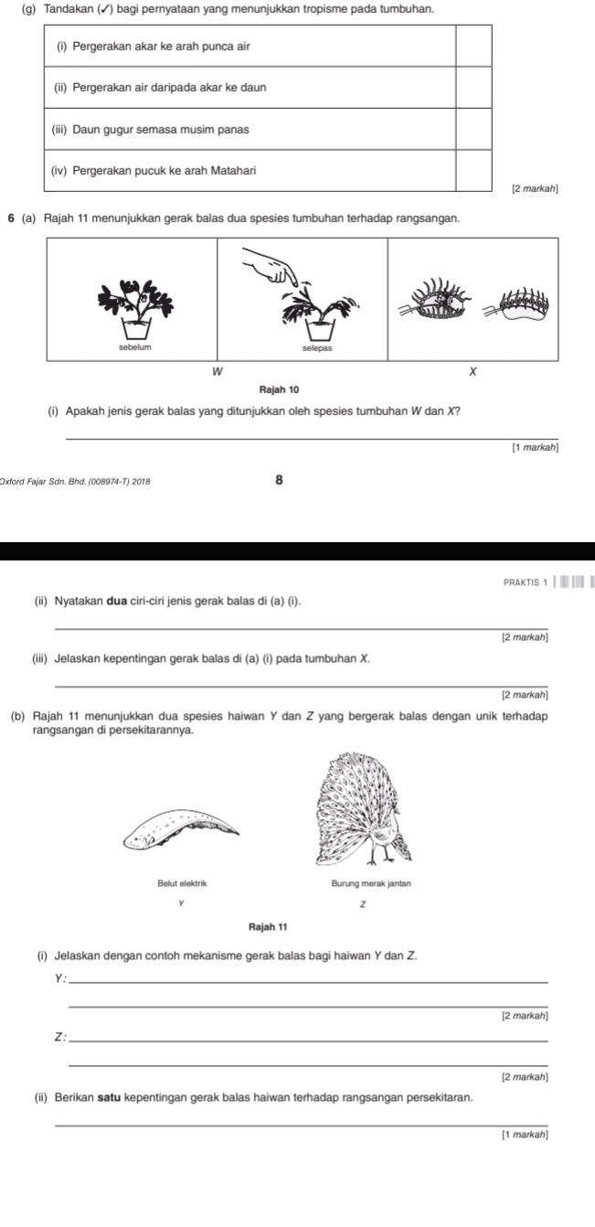 Tandakan (✓ ) bagi pernyataan yang menunjukkan tropisme pada tumbuhan. 
(i) Pergerakan akar ke arah punca air 
(ii) Pergerakan air daripada akar ke daun 
(iii) Daun qugur semasa musim panas 
(iv) Pergerakan pucuk ke arah Matahari 
[2 markah] 
6 (a) Rajah 11 menunjukkan gerak balas dua spesies tumbuhan terhadap rangsangan.
w
X
Rajah 10 
(i) Apakah jenis gerak balas yang ditunjukkan oleh spesies tumbuhan W dan X? 
_ 
[1 markah] 
Oxford Fajar Sdn. Bhd. (008974-T) 2018 8 
PRaKtis 1 
(ii) Nyatakan dua ciri-ciri jenis gerak balas di (a) (i). 
_ 
[2 markah] 
(iii) Jelaskan kepentingan gerak balas di (a) (i) pada tumbuhan X. 
_ 
[2 markah] 
(b) Rajah 11 menunjukkan dua spesies haiwan Y dan Z yang bergerak balas dengan unik terhadap 
rangsangan di persekitarannya. 
(i) Jelaskan dengan contoh mekanisme gerak balas bagi haiwan Y dan Z.
Y :_ 
_ 
[2 markah]
Z :_ 
_ 
[2 markah] 
(ii) Berikan satu kepentingan gerak balas haiwan terhadap rangsangan persekitaran. 
_ 
[1 markah]