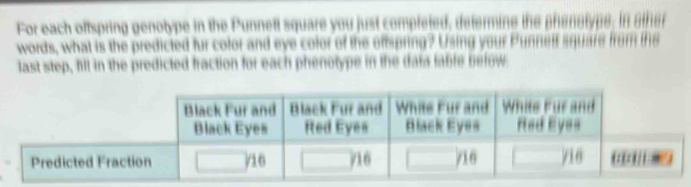 For each oftspring genotype in the Punnett square you just completed, defermine the phenstype. in sther 
words, what is the predicted fur color and eye color of the offspring? Using your P unneit s 
last step, fill in the predicted fraction for each phenotype in the data fable below