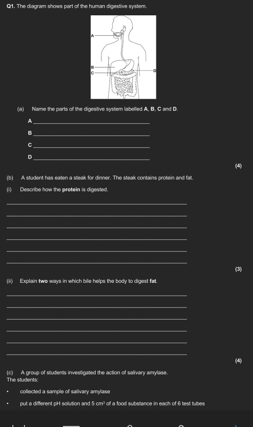 The diagram shows part of the human digestive system. 
(a) Name the parts of the digestive system labelled A, B, C and D. 
A 
_ 
_B 
_C 
。 
_ 
(4) 
(b) A student has eaten a steak for dinner. The steak contains protein and fat. 
(i) Describe how the protein is digested. 
_ 
_ 
_ 
_ 
_ 
_ 
(3) 
(ii) Explain two ways in which bile helps the body to digest fat. 
_ 
_ 
_ 
_ 
_ 
_ 
(4) 
(c) A group of students investigated the action of salivary amylase. 
The students: 
collected a sample of salivary amylase 
put a different 1^ solution and 5 cm³ of a food substance in each of 6 test tubes