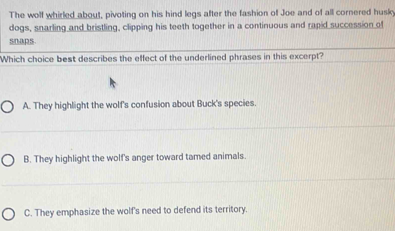 The wolf whirled about, pivoting on his hind legs after the fashion of Joe and of all cornered husky
dogs, snarling and bristling, clipping his teeth together in a continuous and rapid succession of
snaps
Which choice best describes the effect of the underlined phrases in this excerpt?
A. They highlight the wolf's confusion about Buck's species.
B. They highlight the wolf's anger toward tamed animals.
C. They emphasize the wolf's need to defend its territory.